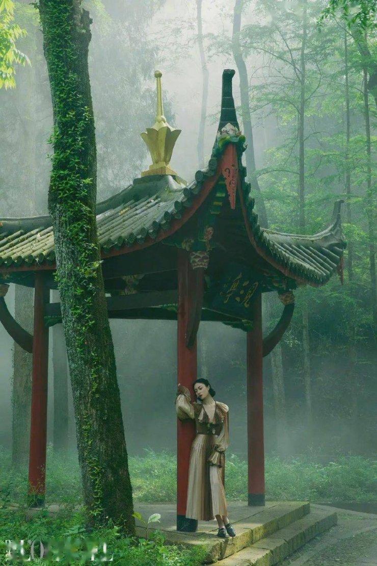 厉害了我的巧虎8