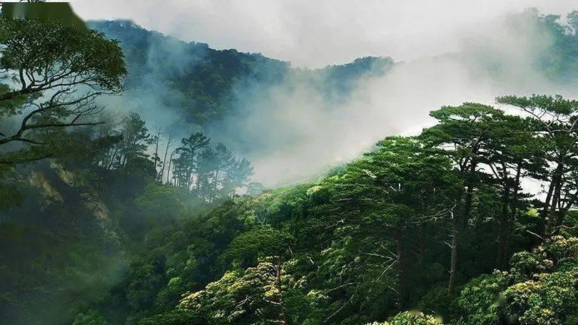 梦华录之欧阳旭，从跨马游街的探花郎到人人唾弃的杀人犯可悲可叹
